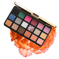 Lakmē Rouge Bloom Eyeshadow Pro-Palette
